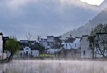 会立住茶叶特点：耐泡易立，品味生活新选择(会立是什么意思)